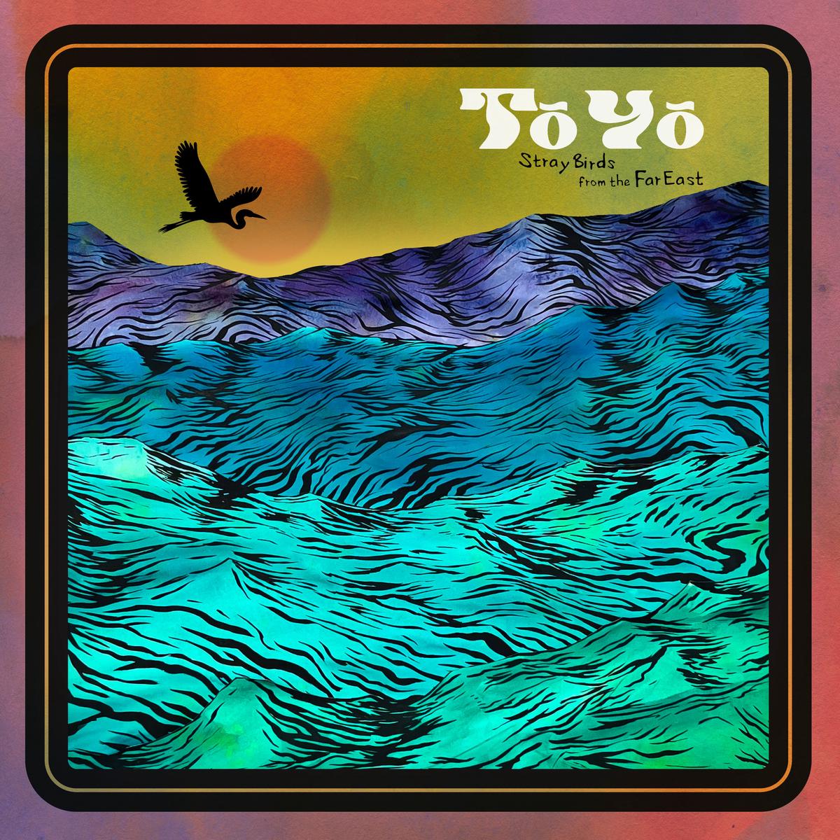 T Y – Stray Birds From The Far East (LP)