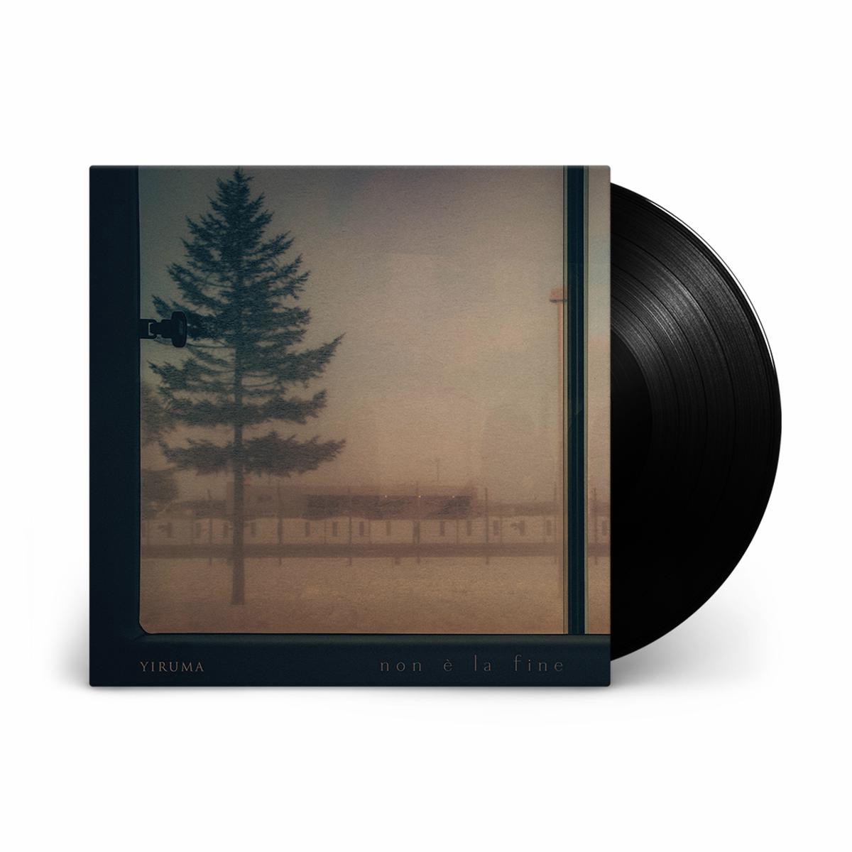 Non la fine Vinyl LP