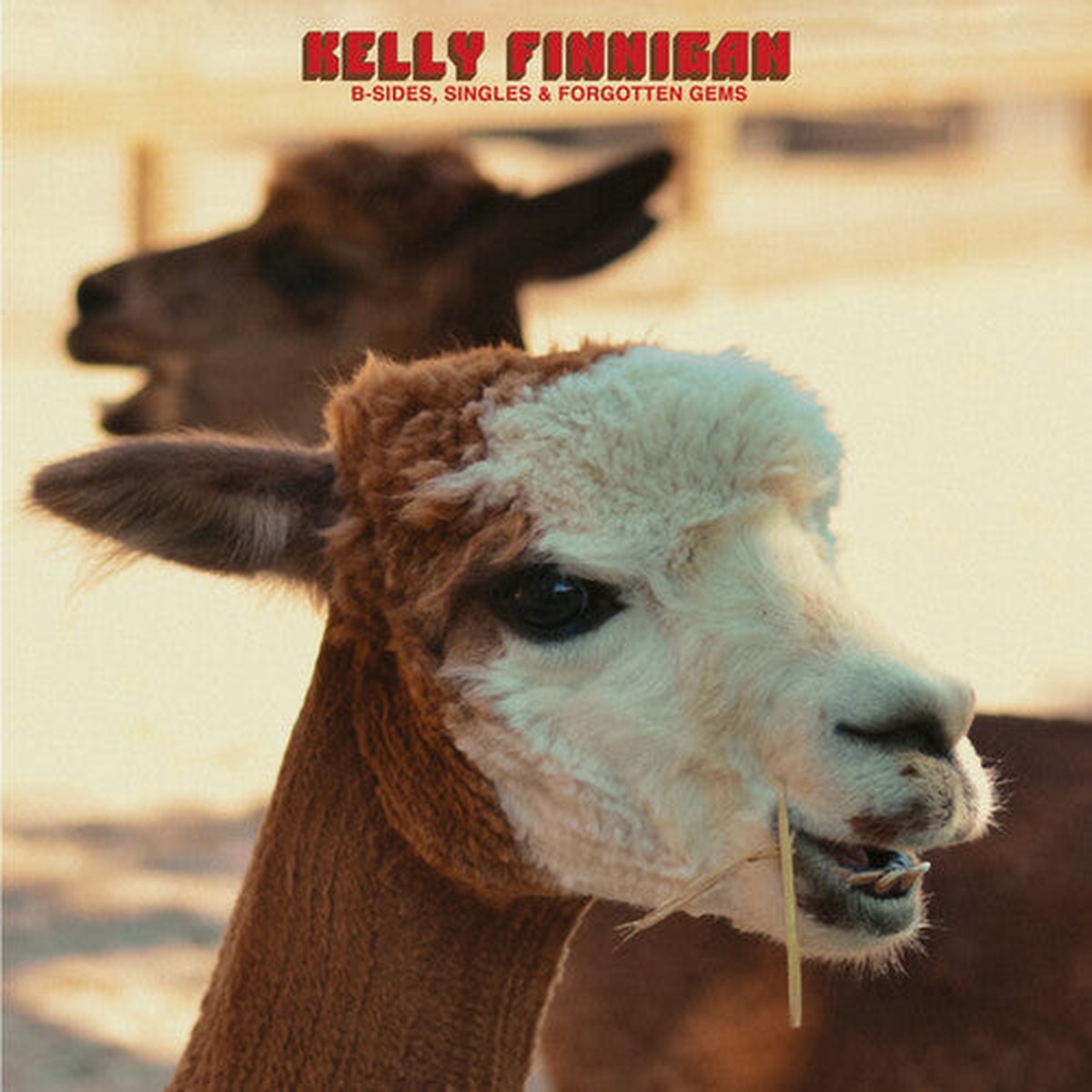 Kelly Finnigan: B-Sides, Singles & Forgotten Gems – Red – VINYL LP