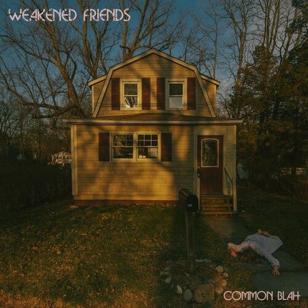 Weakened Friends: Common Blah – VINYL LP