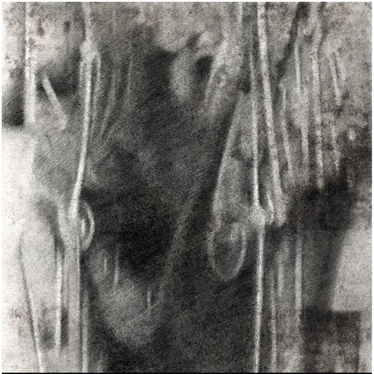 33 – Tripolar (LP)
