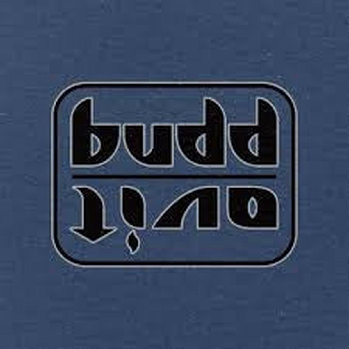 BUDD 8211 OVIT METALLIC RECYCLED VINYL 8211 LP