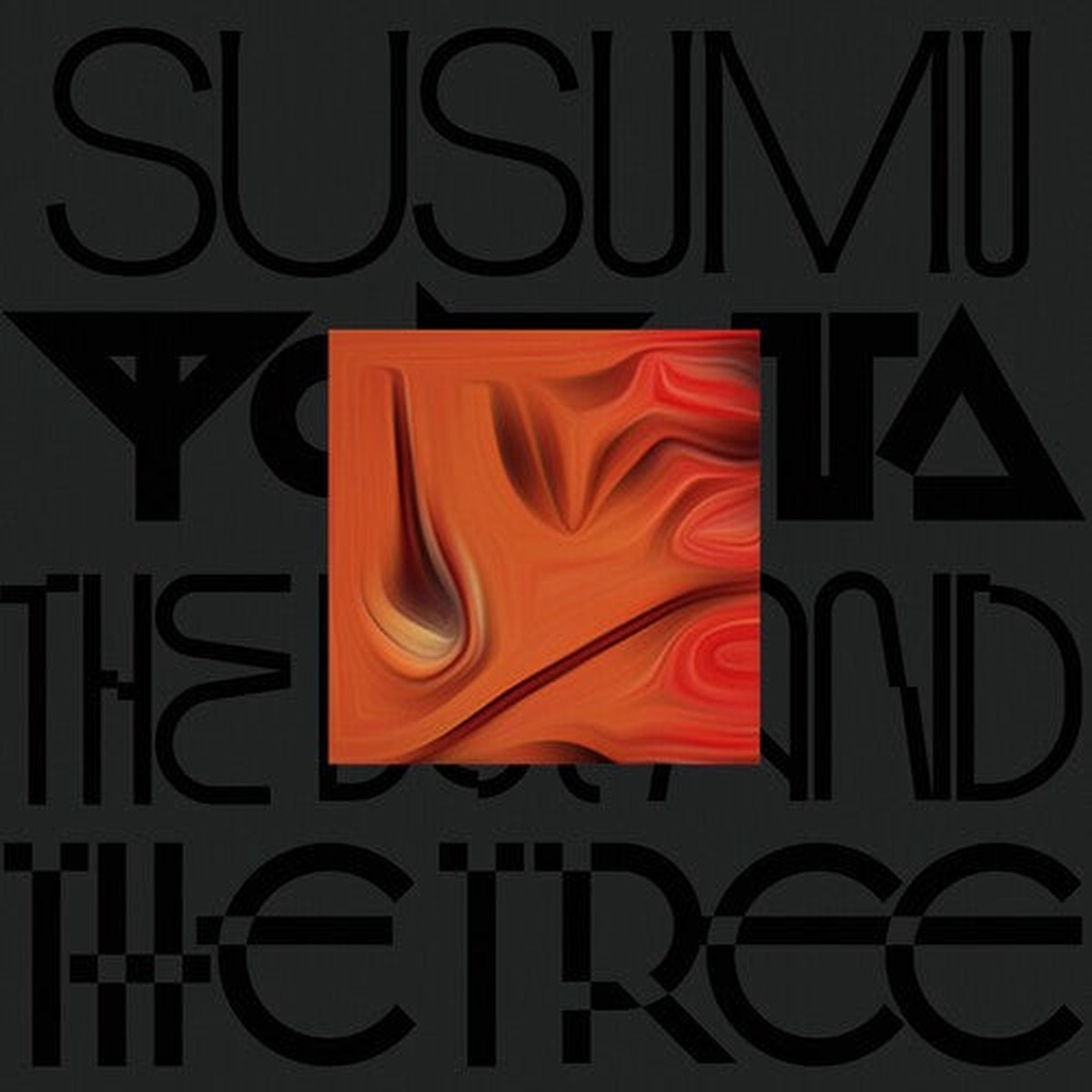 Susumu Yokota: The Boy And The Tree – Skintone – VINYL LP