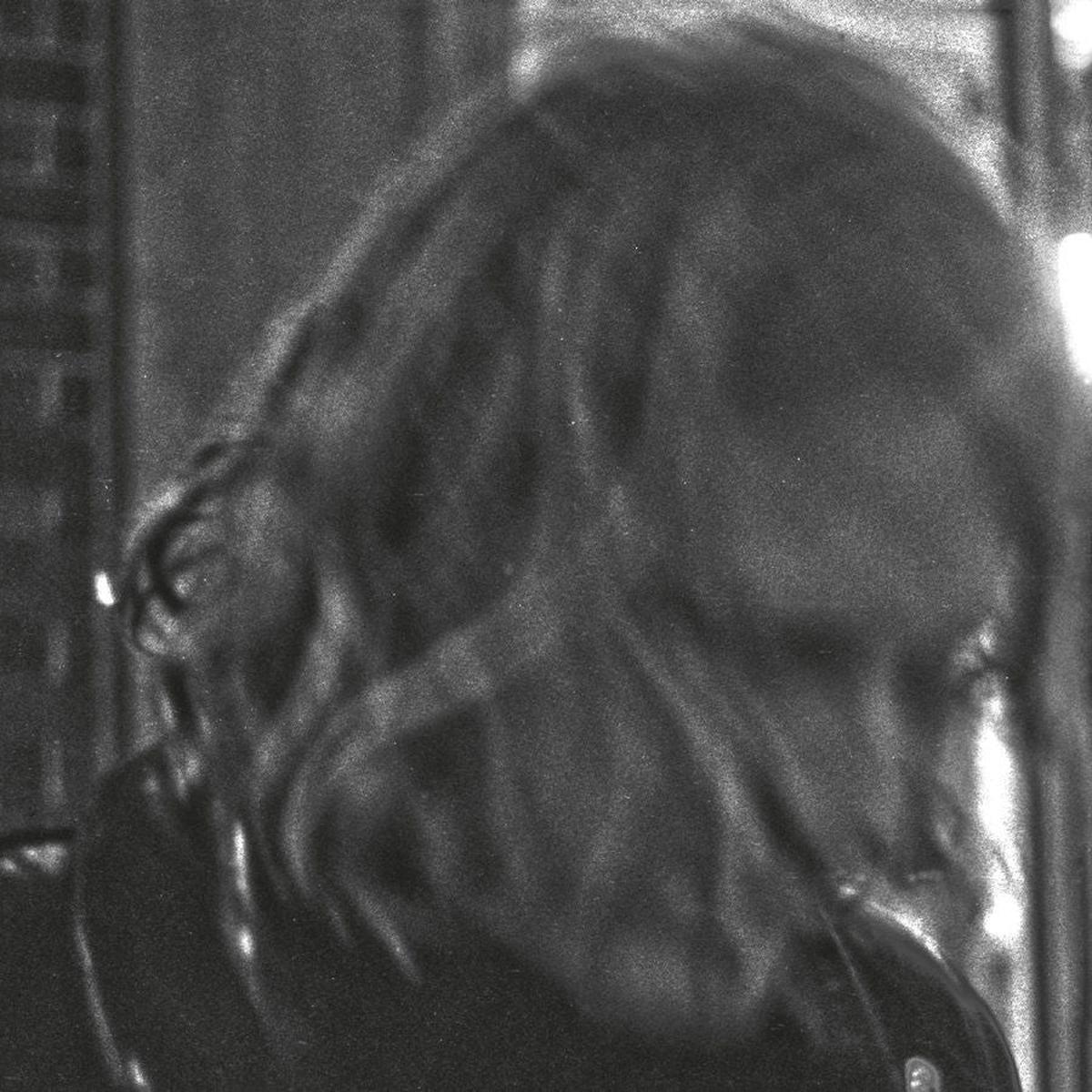 Ty Segall: Vinyl LP