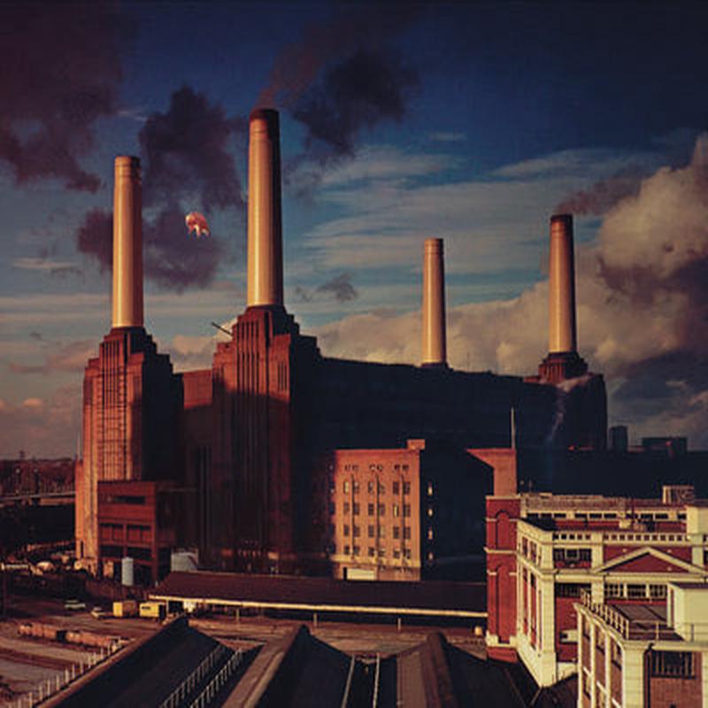 Animals - Pink Floyd [CD]