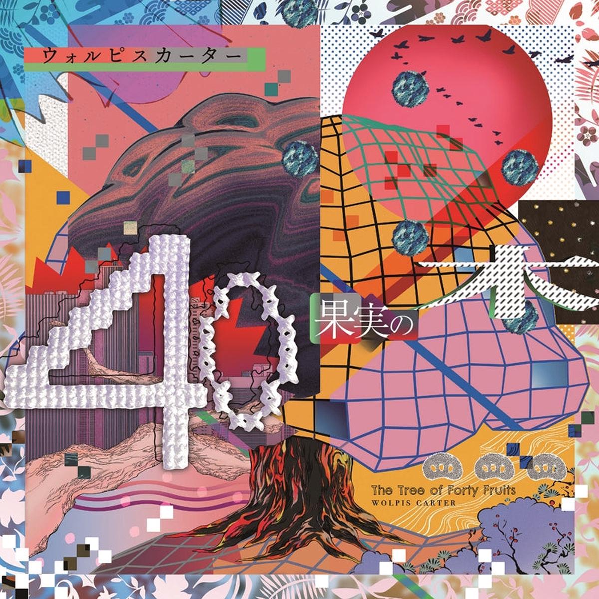 (Album) 40 Kajitsu no Ki by Wolpis Carter First Run Limited Edition