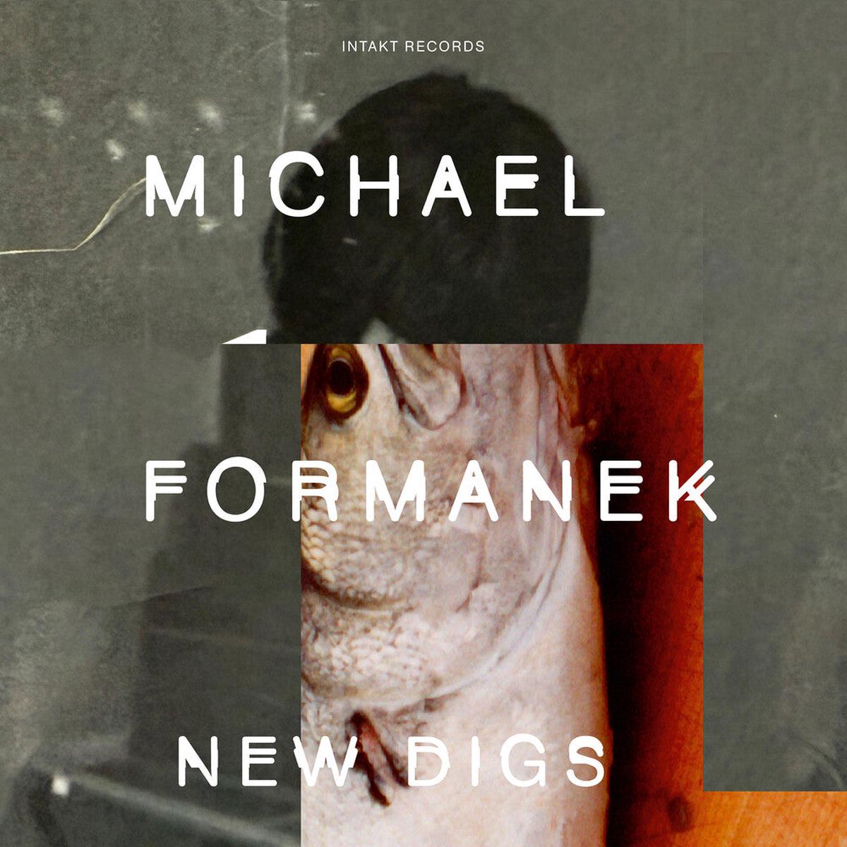 Michael Formanek - New Digs
