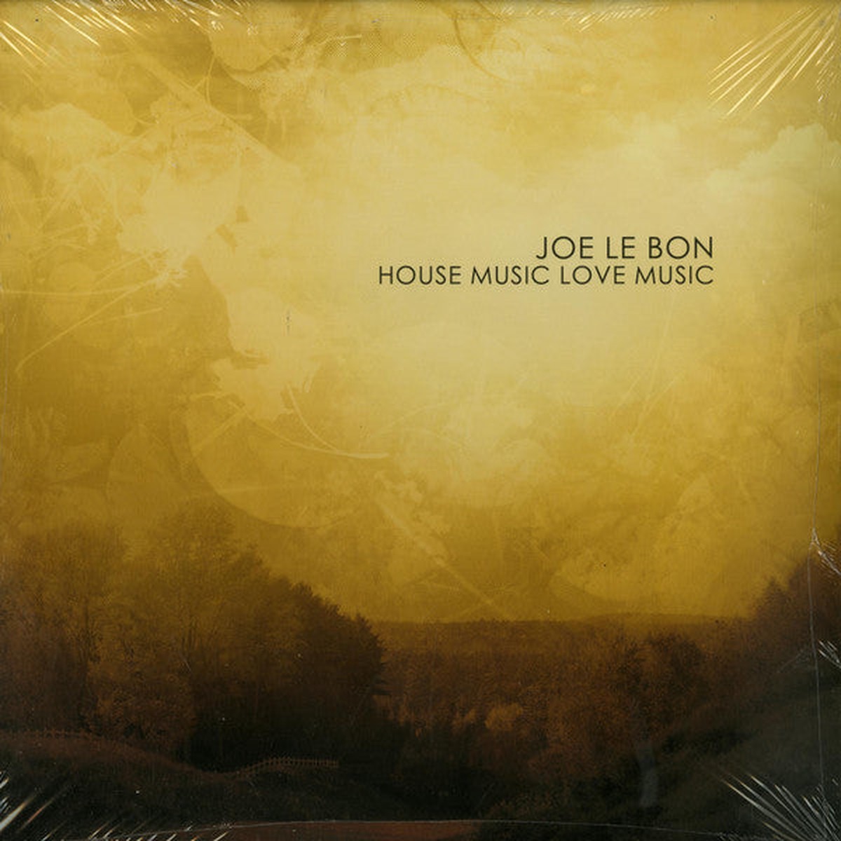 Joe Le Bon - House Music Love Music (2xLP, Album)
