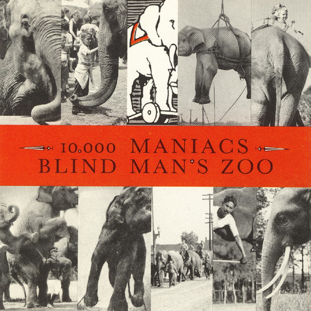 10,000 Maniacs - Blind Man's Zoo (CD, Album)