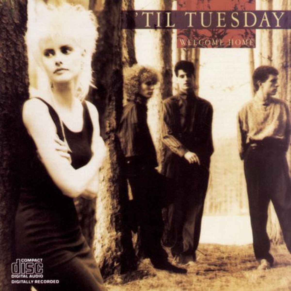 'Til Tuesday - Welcome Home (CD, Album)
