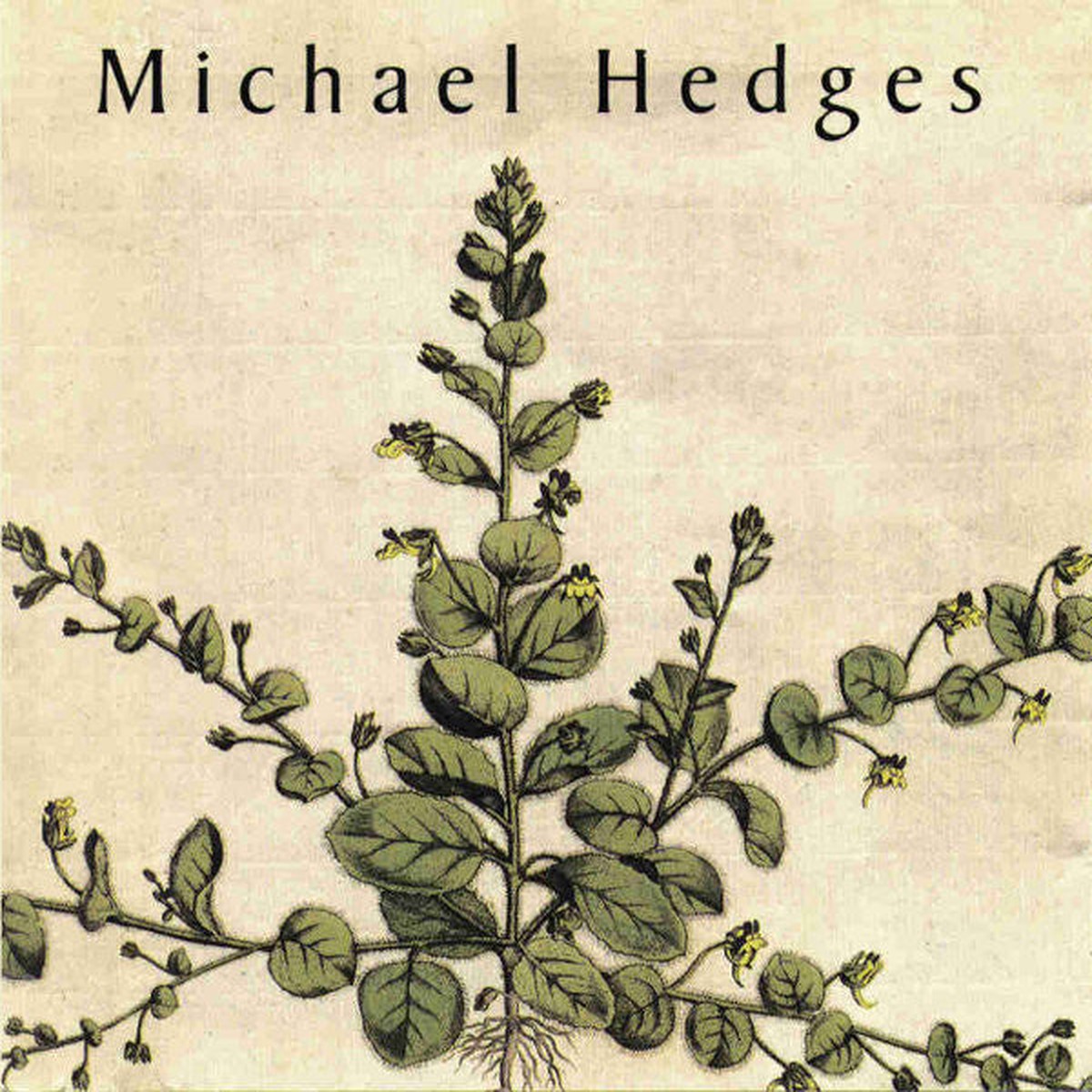 Michael Hedges - Taproot (CD, Album)