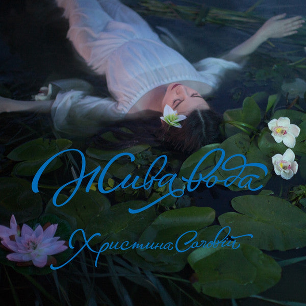 - (CD, Album)